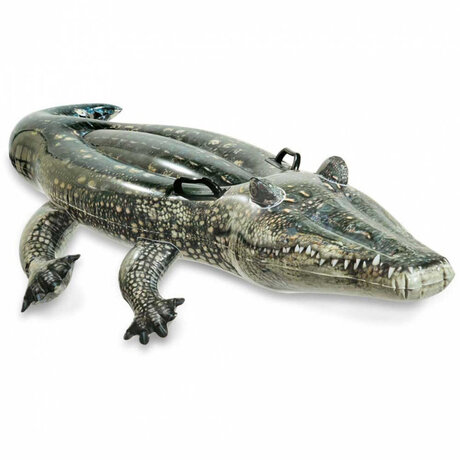 ALIGATOR-JAHALICA 57551
