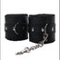 Lisice za noge - Ankle Cuffs