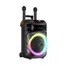 Bluetooth zvucnik 50W karaoke set sa 2 mikrofona ZQS15113 crni