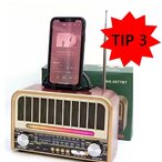 Radio Tranzistor I Bluetooth Zvučnik 2u1 Retro