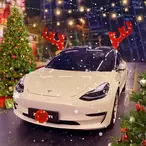Božićni ukras za automobil - Irvas