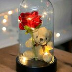 Večna ruža sa medom i led svetlom u staklenoj kupoli