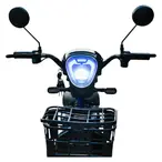 Elektični bicikl Verdeto E-bike