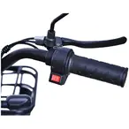 Elektični bicikl Verdeto E-bike