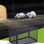 ČUMEZ – Zamka za Štetočine 3 komada