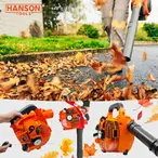 Hanson Motorni Duvač Lišća 1KS