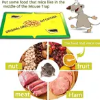 LEPAK ZA ŠTETOČINE 10 KOMADA