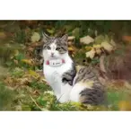 GPS Ogrlica GPS Traker za Pse TK909 GPS Pratilica