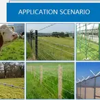 BODLJIKAVA ŽICA 100M