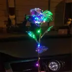 Magična svetleća ruža