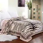 Ambasador duplo ćebe