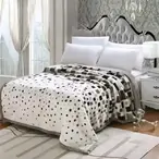 Ambasador duplo ćebe