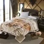 Ambasador duplo ćebe