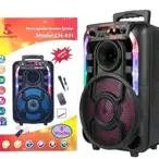 Prenosivi punjivi zvučni sistem Avcrowns CH-831