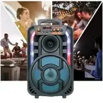 Prenosivi punjivi zvučni sistem Avcrowns CH-831