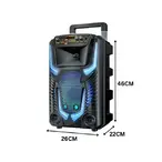 Bežični karaoke Bluetooth zvučnik TTD-8259