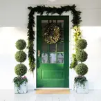 Vestacka topijarska biljka sa saksijom