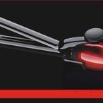 ProGemei GM-2906 profesionalni stajler za kosu 2-u-1 