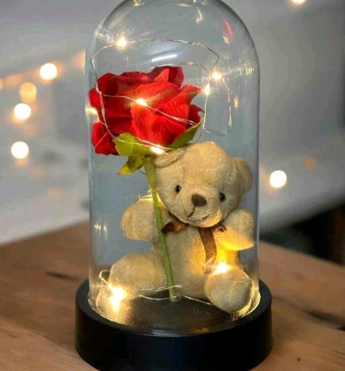 Večna ruža sa medom i led svetlom u staklenoj kupoli