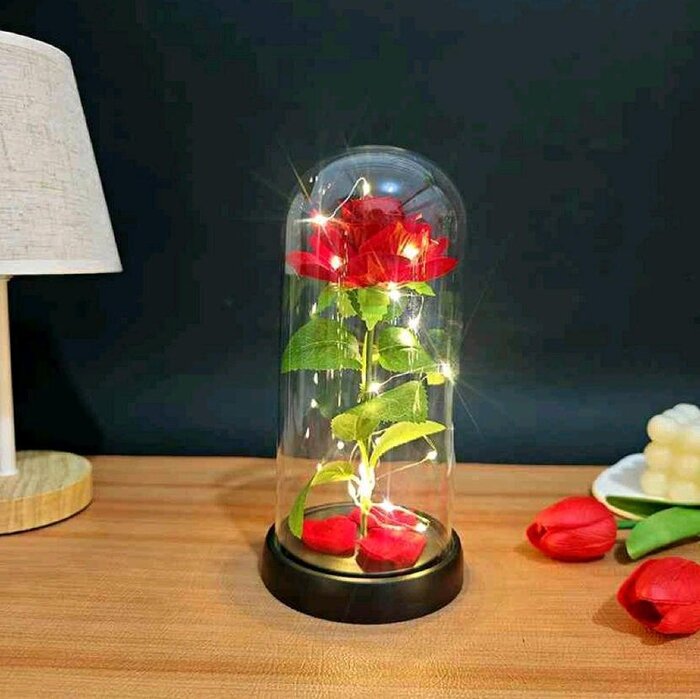 Ruža u staklenom zvonu