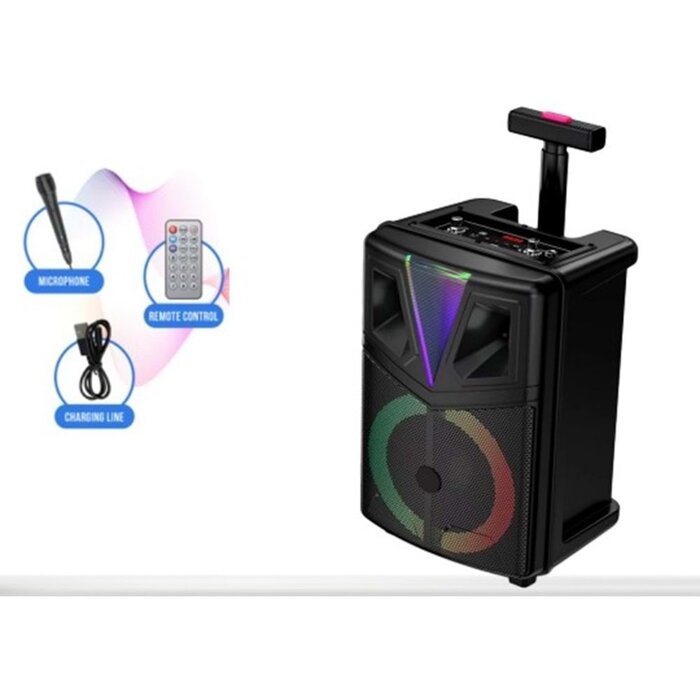 Prenosivi karaoke zvučnik  BT-2067